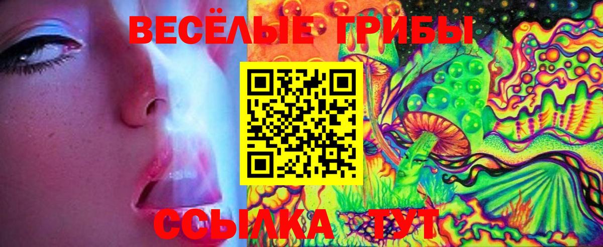 Галлюциногенные грибы прущие грибы Строитель